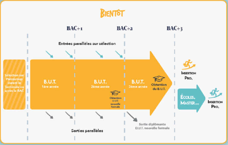cursus D.U.T. B.U.T. insertion écoles d'ingénieurs master poursuite d'études