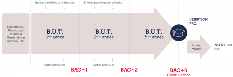 Orientation BUT GMP insertion